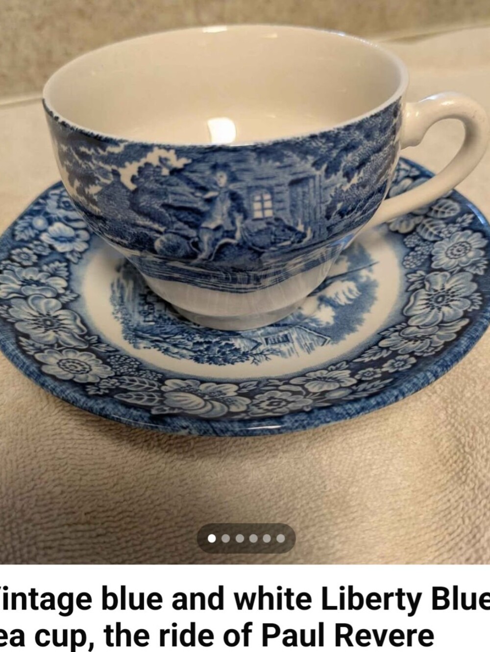Blue and White Porcelain Teacup and Saucer Set - England